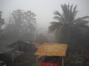 A fogy day in Alipore