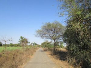 road-to-farm-land